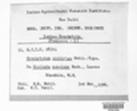 Synchytrium cylistae image